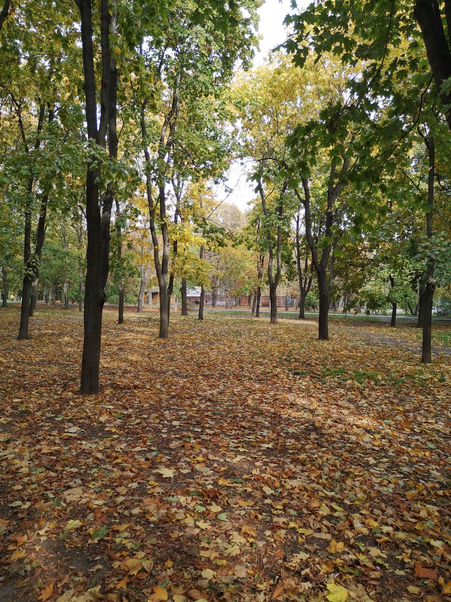 tanushalambre's tweet photo. A leisurely #walk with #Tracer in warm autumn weather brought me 4.11 #TRC and a very pleasant mood🍁🥰🍂🧡 #M2E #MoveAndEarn #NFT #TRACERM2E #TRACER_NFT #POLYGON @Official_Tracer #m2eAndroid #movetoearn #Move2Earn #MoveAndEarn #Move2Earn #dapp #testnetAndroid #NFTs #cbt #testnet https://t.co/riFzhFN7Qk