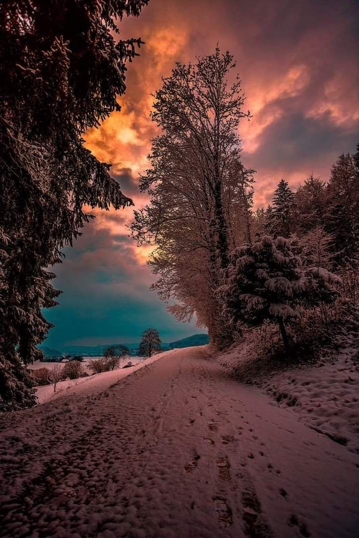 ferchocruz41's tweet photo. Buen Descanso ✨🤗 https://t.co/wPcXLYG8AL
