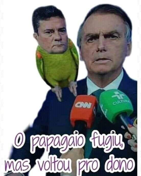 PAPAGAIO DE PIRATA Dá o pé, 'Mouro' !!