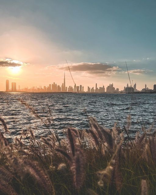DubaiTrends's tweet photo. The most incredible skyline ever. Photo by ig:eshantt #dxb #uae #dubaifitness #beautifuldestinations #dubaicars #skysc... https://t.co/u4RAG0kMN1 #KeysOfDubai https://t.co/bLbUMT0Zrb