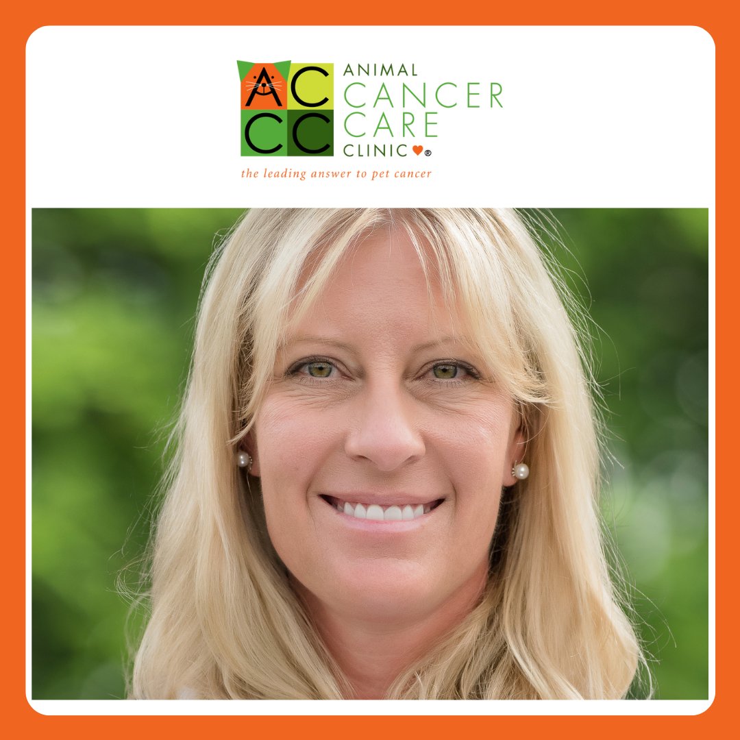 PetCancerCare's tweet photo. What are the benefits of a practice singularly focused on oncology? “Our days are not as chaotic as many large specialty hospitals,” says Dr. Erin Roof. “At ACCC we get to just focus on cancer cases as scheduled.” https://t.co/8ZtDVQMB0I https://t.co/s6N2ePM2RZ