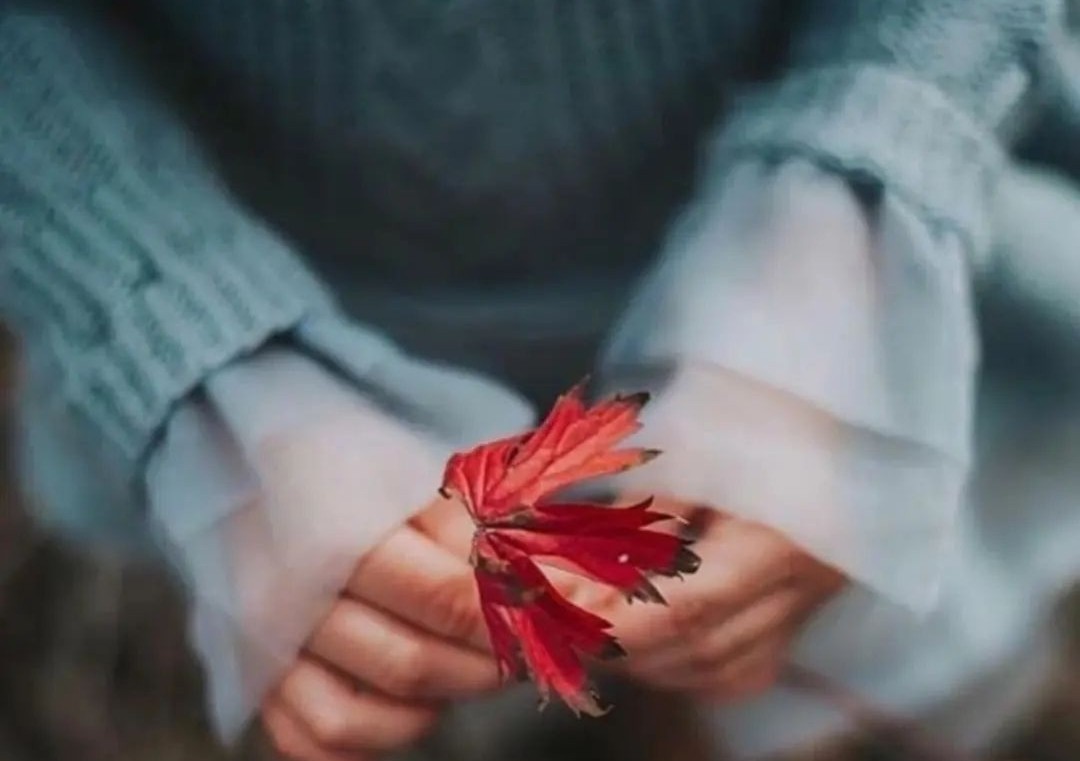 delikiz3434343's tweet photo. Herkes herkese
Birşeyler öğretirmiş ..
#Kimi sevmeyi..
#Kimi sevmemeyi..
#Kimide bir daha
Hiç kimseye güvenmemeyi..!
#GeceyeNotum ⭐🖤⭐ https://t.co/Jj9Emu2Qyn