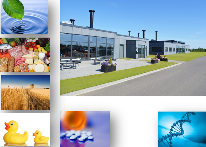 Eurachem Events tweet media