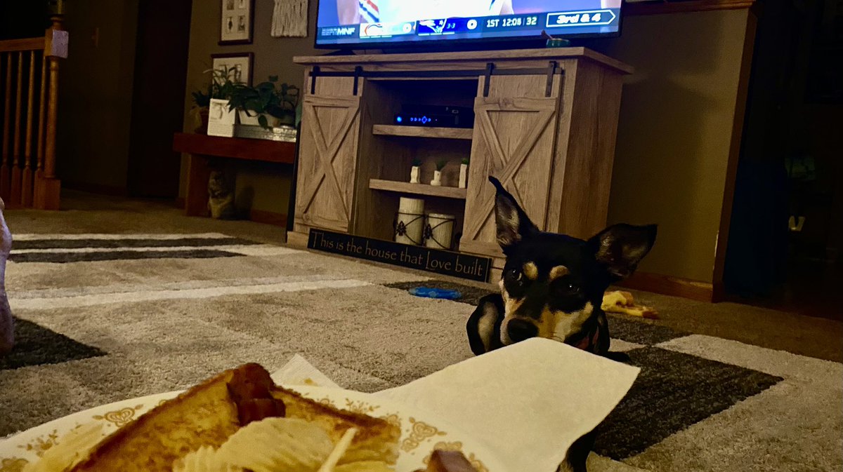 QCWebster's tweet photo. #MondayNightFootball with a #GrilledCheese and my dog. #lifeisgood #ChicagoBears #NFL https://t.co/EY4vGRngi6
