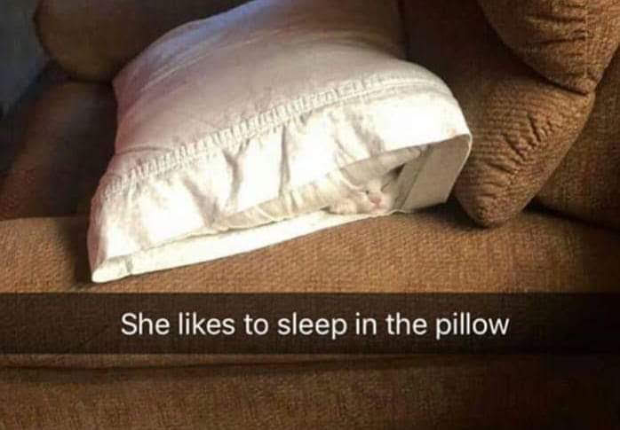 GorditoGatito2's tweet photo. 🥹 https://t.co/ifSH4ezJkD