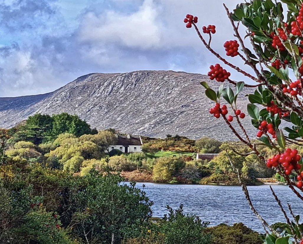 galwaytourism's tweet photo. Loch Oiriúlach i Rosmuc le Teach an Phiarsaigh i gcéin / Loch Oiriúlach and Pearse’s Cottage in Rosmuc, Co. Galway ✍️🏡🌤 

#teachanpiarsaigh #gaillimh #pearsescottage #rosmuc #galway 

📸 @JohannaNiMhaill https://t.co/VWW0xonNvn