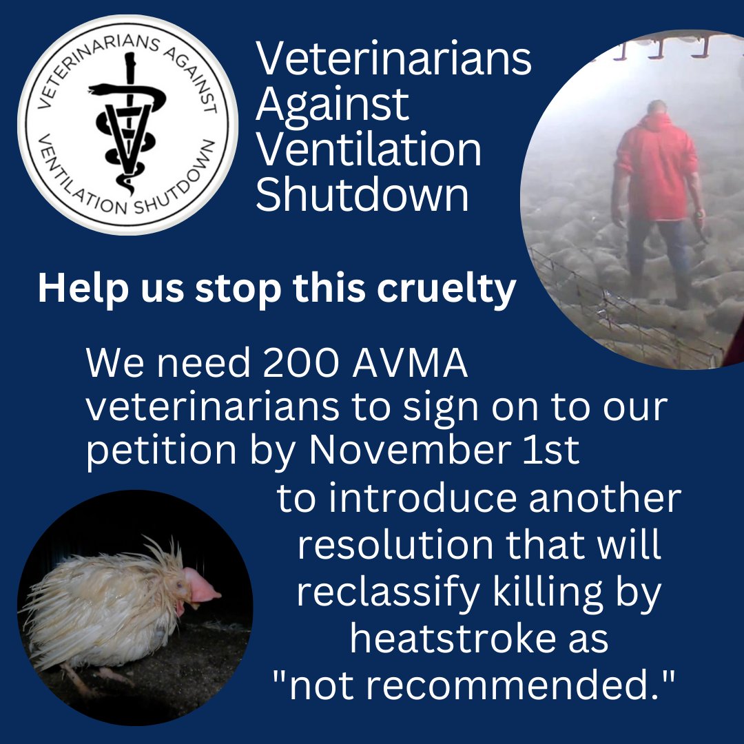 drcrystalheath's tweet image. Join us! We need 200 AVMA Veterinarians to sign our petition by November 1st. We are once again asking the AVMA to reclassify Ventilation Shutdown+ as a "not recommended" form of depopulation mailchi.mp/ourhonor/vavsd