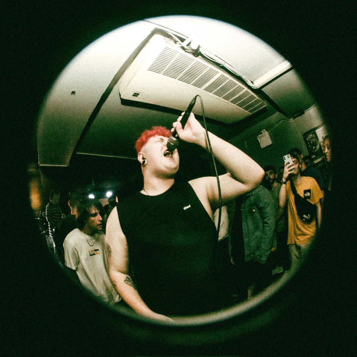 H I G H T A I L tweet media