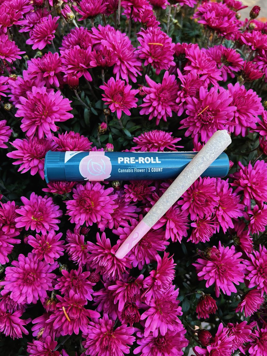 Curaleaf tweet media