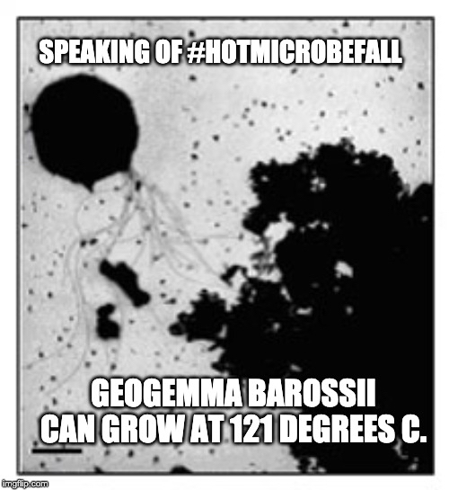 markowenmartin's tweet photo. Last year, my #Bio350 #Micronauts created some #MicrobialMemes that made me laugh, and also think about what concepts stood out to *them*. #ManyWaysToLearn #Creativity @univpugetsound @ASMicrobiology https://t.co/58AP8nZ2vx
