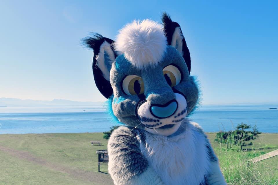 Twilight_Saint's tweet photo. Share that smile of yours with the world💙

#furry #fursuit @SabotageLynx https://t.co/Zohui6Xh28