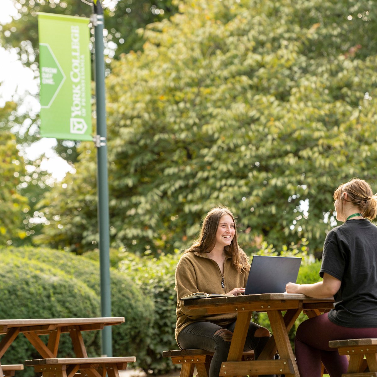Our Early Decision application deadline is next week (November 1)!

If you're ready to be a York College Spartan, choose "Early Decision" when completing your application! Apply today by clicking below ⤵️
admissions.ycp.edu/apply/