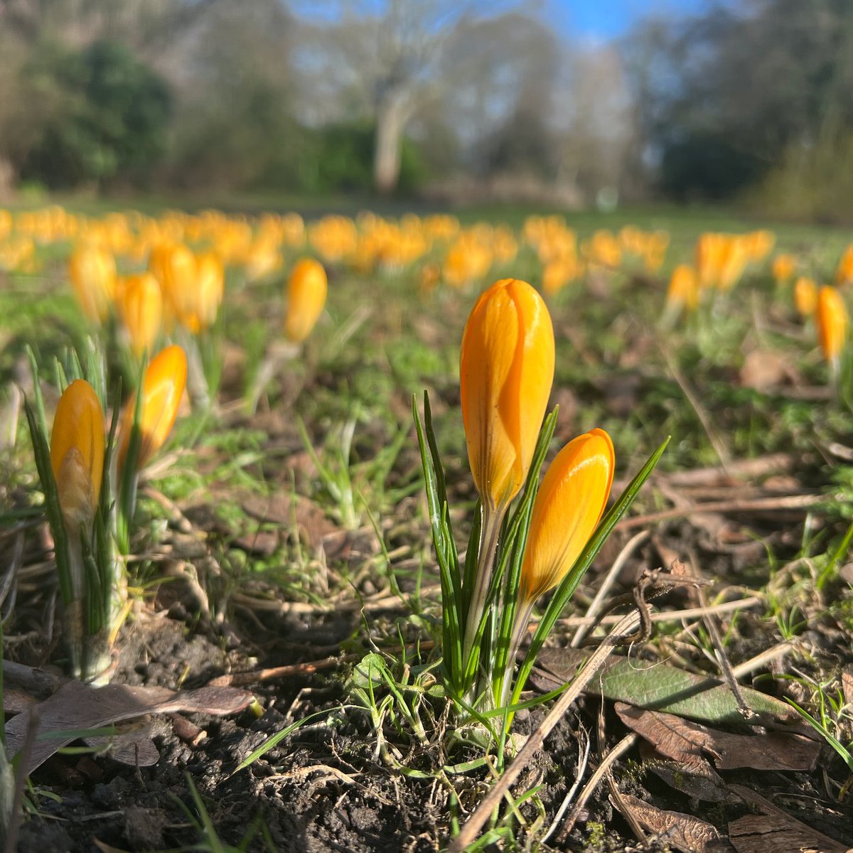 ParksNewcastle's tweet photo. We've a busy half term #SpringbankPavilion w/ #Beelines today & @CuriousArts on Wednesday for pastel pumpkins! ππΌπ
Thursday, join @GemArtsuk printmaking & Friday it's @ChilliStudios w/ pottery in the park! ππ³
Supported by
@Newcastle_NHS @lga_foundation & @CFTyneWearNland https://t.co/pLkpyaVyvY