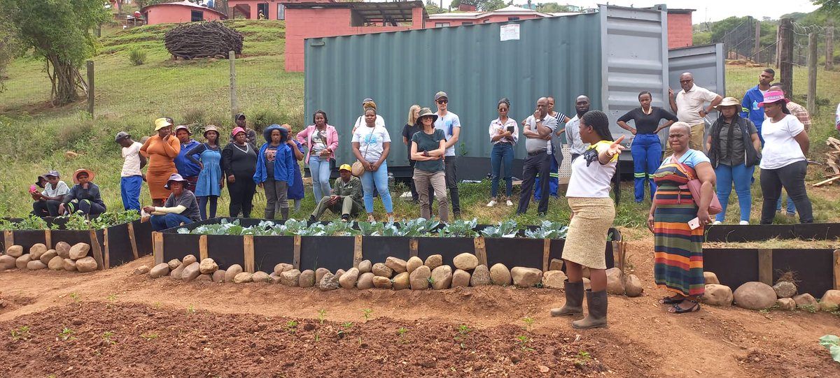 Sustainable Foodie tweet media