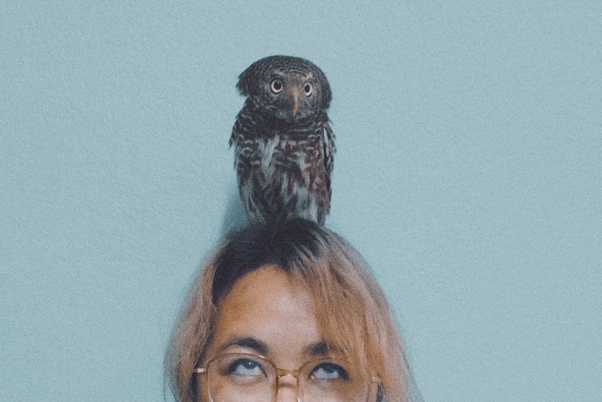 OWL MY GOD tweet media