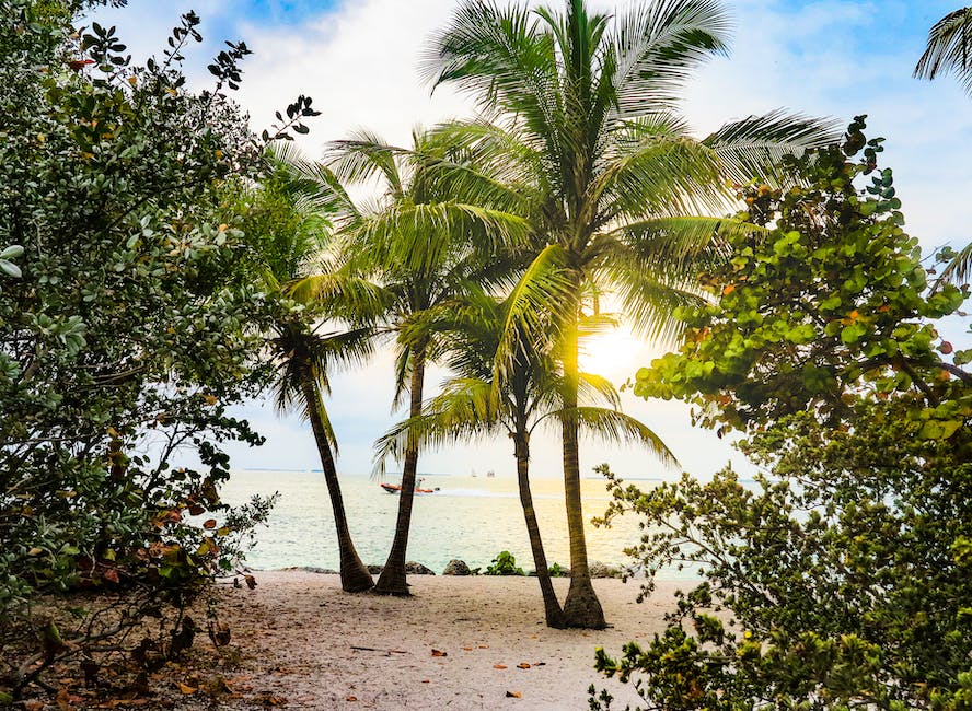 KeyLargoChamber's tweet photo. Is it just me that thinks, Eddie Money, was talking about Key Largo when he penned the song, “Two Tickets to Paradise”? 🎟🎟🧳
Pack your bags and leave tonight! We’ll take care of the rest. #KeyLargoChamberofCommerce #FloridaKeys #KeyLargo #paradise #twotickets #EddieMoney https://t.co/YSREcO3aC4