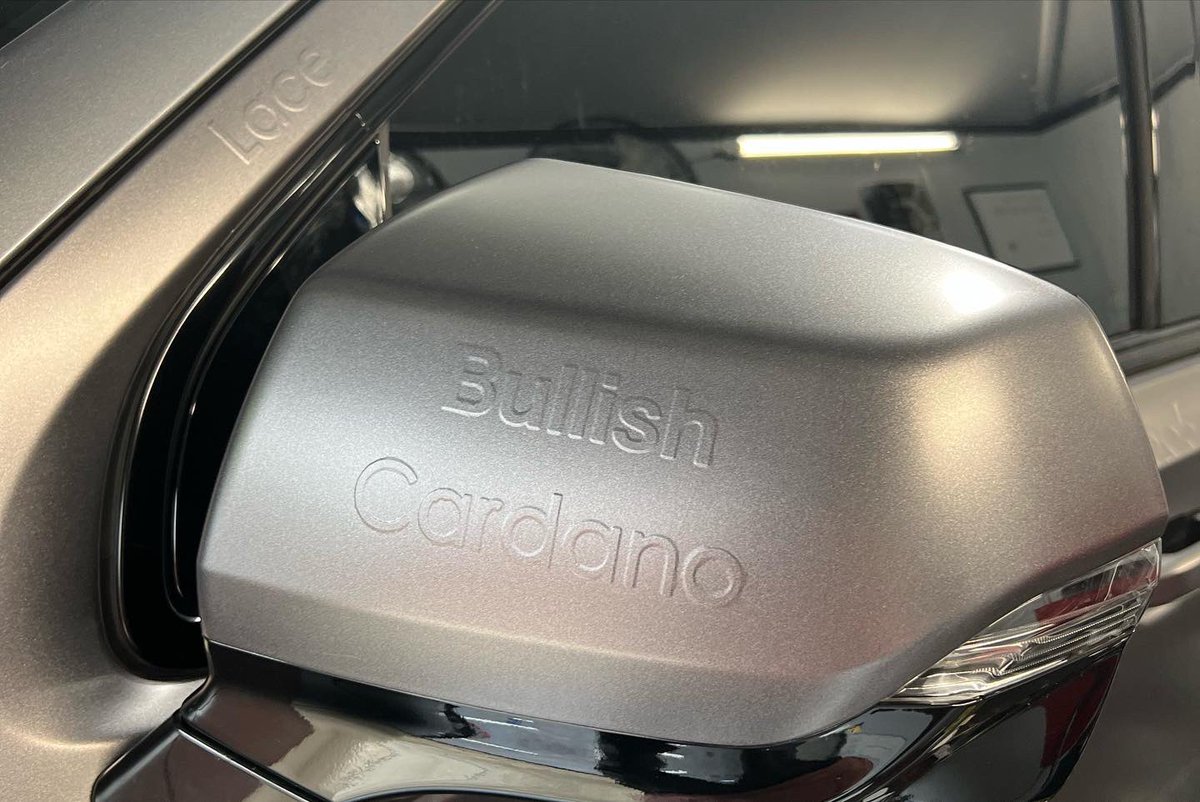 MetaVinylCustoms tweet media