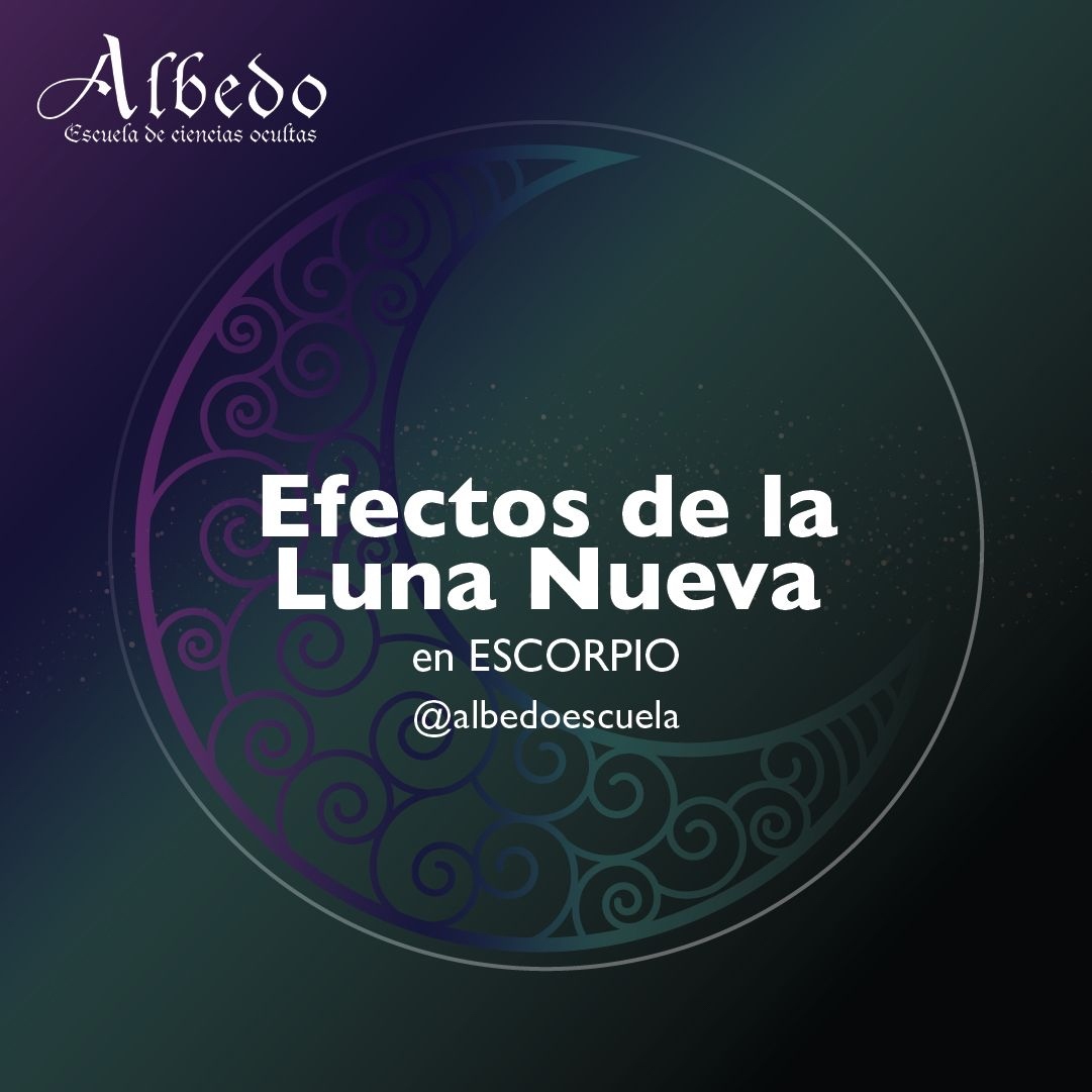 AlbedoEscuela's tweet photo. Los efectos de la Luna Nueva en Escorpio del 25 de octubre se sentirán hasta la siguiente Luna Creciente. Y tendrá lugar también el Eclipse Solar. Será el momento en el que sentirás con mayor fuerza la necesidad de un cambio o transformación. do. https://t.co/RzpmuY0rYj