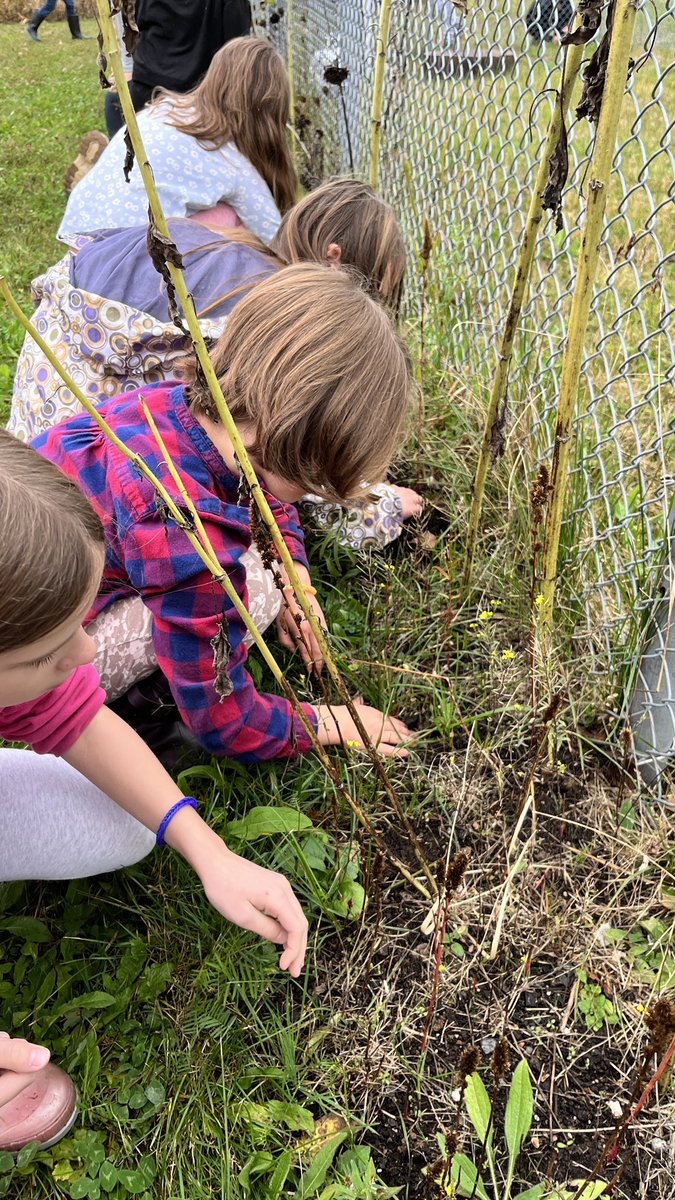 ms_cherasmith's tweet photo. Today @ssrsbpes had a visit from @wandabaxter_ to learn about Monarch Butterflies and how she gave refuge to them during Hurricane Fiona. We also planted milkweed seeds to help the MB population @SSRCE_NS https://t.co/V8JucrelrG