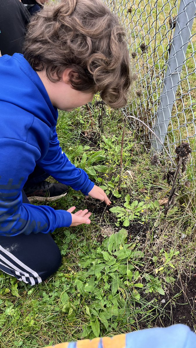 ms_cherasmith's tweet photo. Today @ssrsbpes had a visit from @wandabaxter_ to learn about Monarch Butterflies and how she gave refuge to them during Hurricane Fiona. We also planted milkweed seeds to help the MB population @SSRCE_NS https://t.co/V8JucrelrG