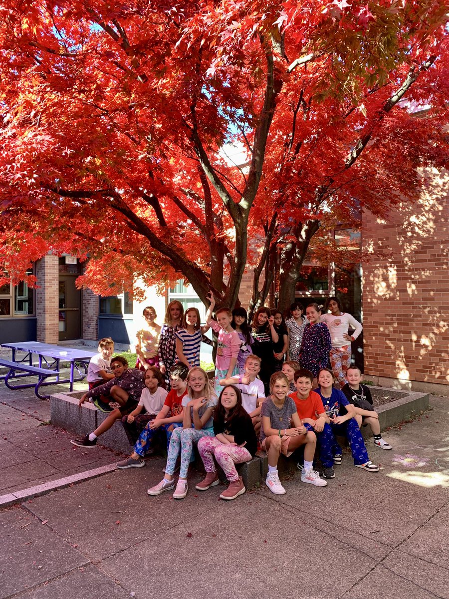 A group of 4th grade students are enjoying a perfect day under a perfect tree! #WeAreCP
