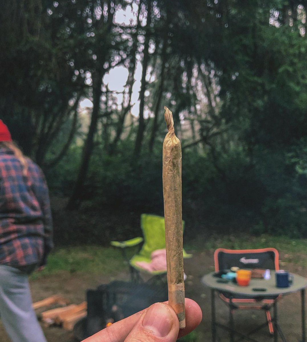 HIGH_TIMES_Mag's tweet photo. Camp sesh, anyone? 🏕 #mondaygrind 

📸: @dydrmng_society https://t.co/qpTYnOVmdf