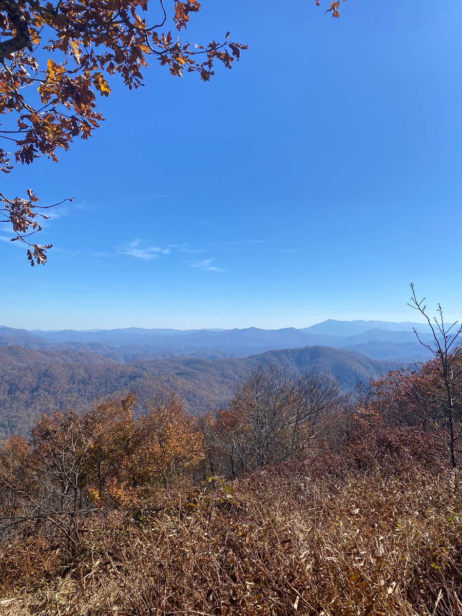 gall_leigh's tweet photo. I think I hit the research site jackpot! ⛰ https://t.co/L6lfZGfzWI