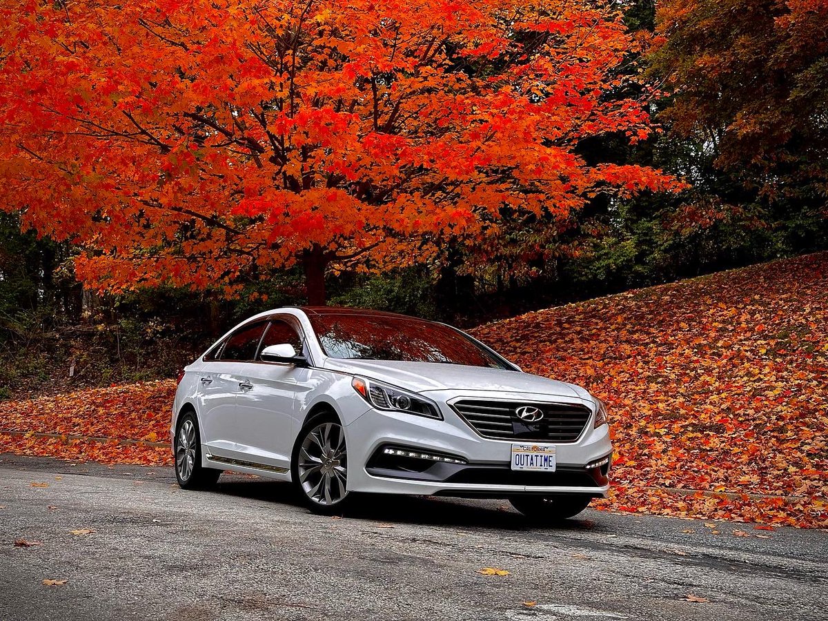 Brian_DAmbrosio's tweet photo. I saw these trees and I felt like I needed to capture it. #hyundaisonata #sonatasociety #sonataturbo #kdm #kdmnation #kdmsociety https://t.co/TKbPhYOwXe
