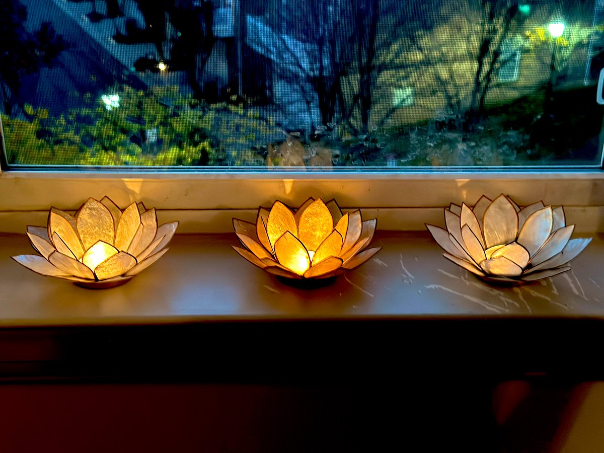 Happy Diwali 🪔🪔🪔