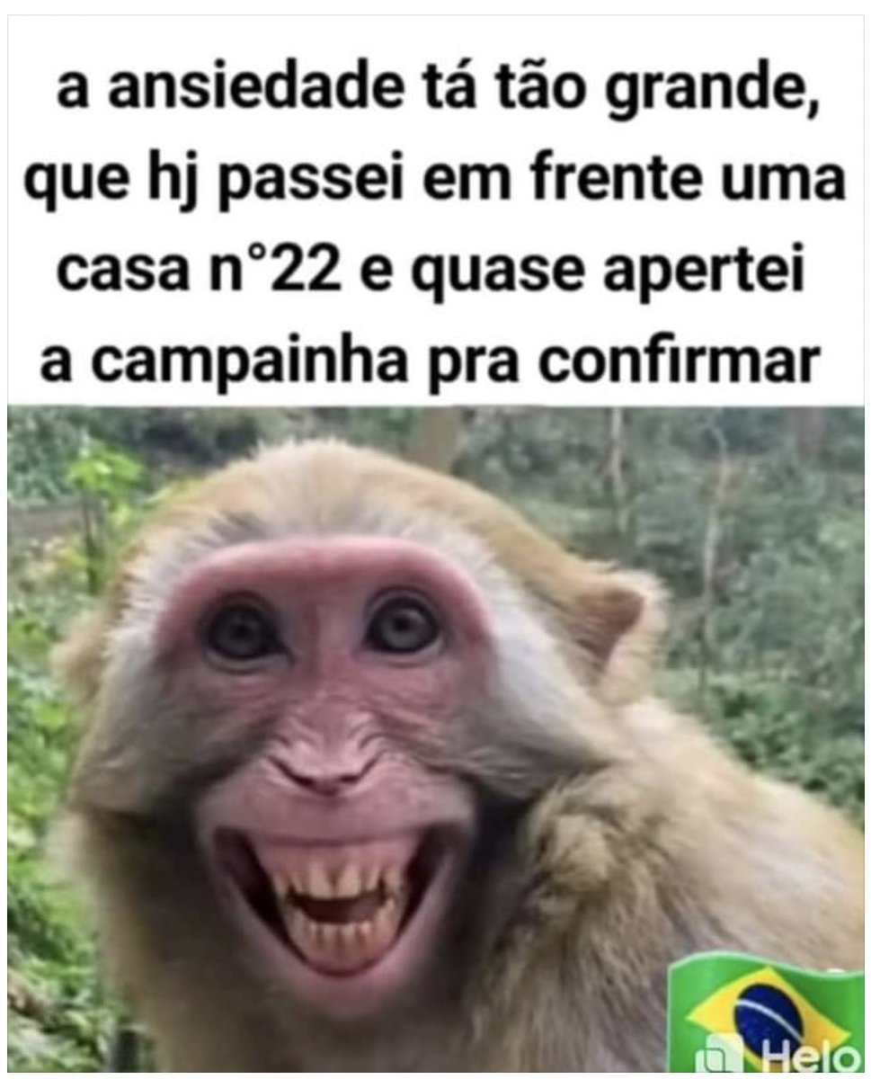 nandamsalgado's tweet photo. 2️⃣2️⃣🫡🇧🇷 https://t.co/lAwG3AxpxE