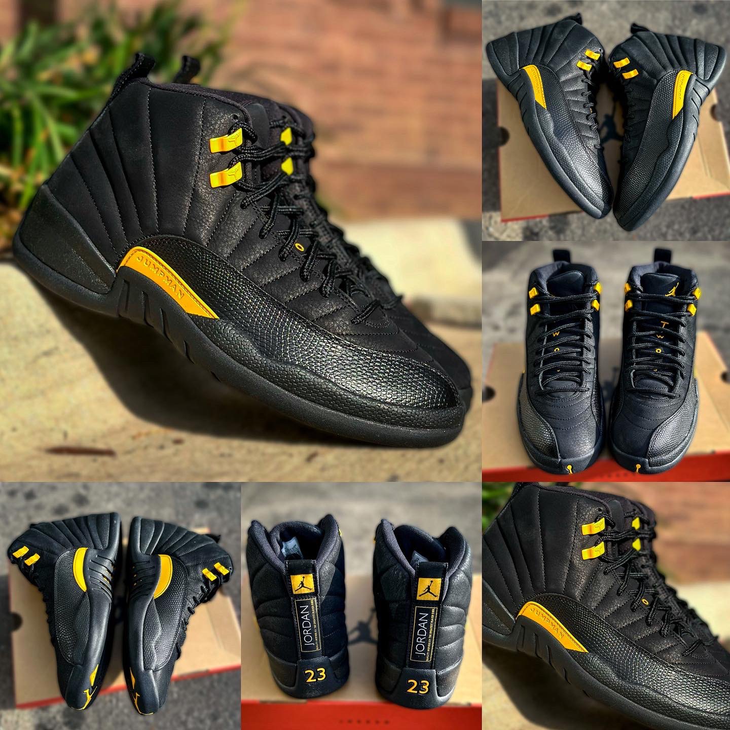 jordan 12 black taxi