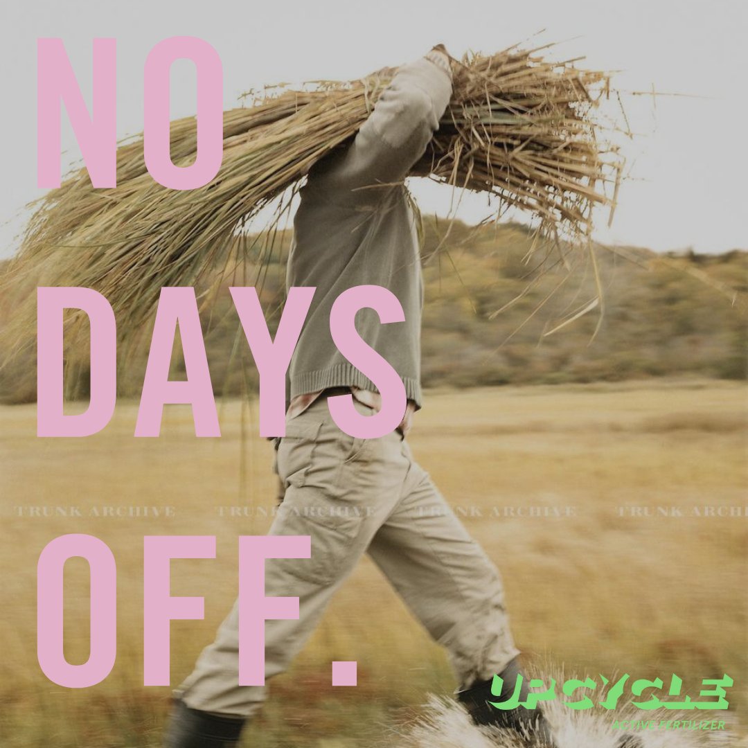 UpCycle and Co tweet media