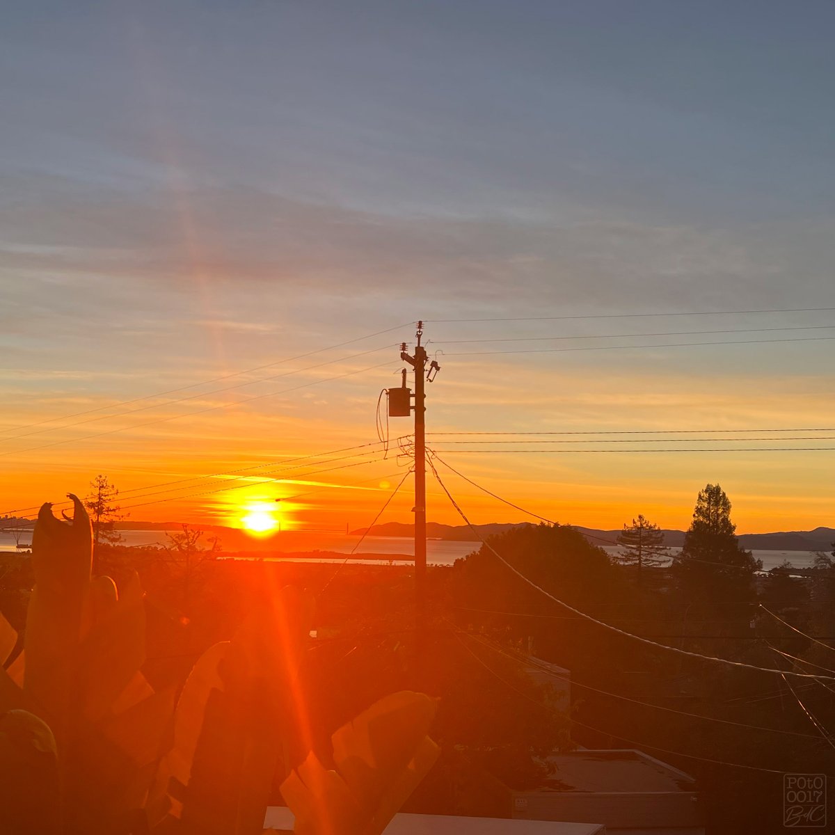 JeremFebvre's tweet photo. Watching the sunset burning vain certitudes while frens realize that 'Reddit' and 'NFTs' can be juxtaposed and become a top Twitter trend ...
#P0tO https://t.co/cXZdSjAzFA