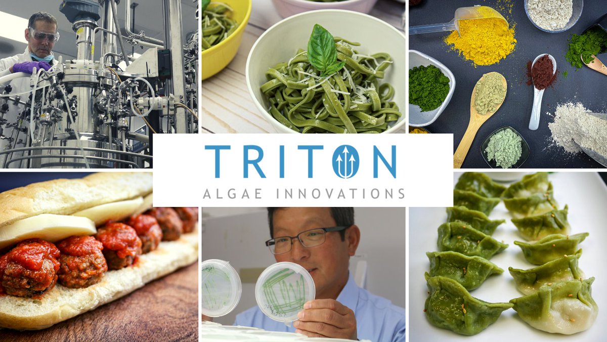 Triton Algae Innovations tweet media