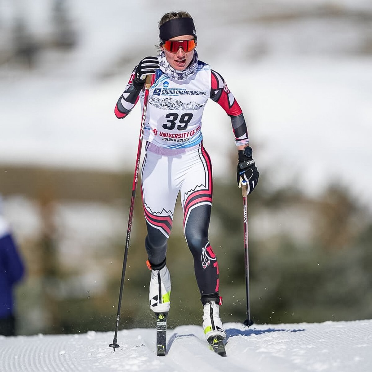 Turtle Fur tweet media