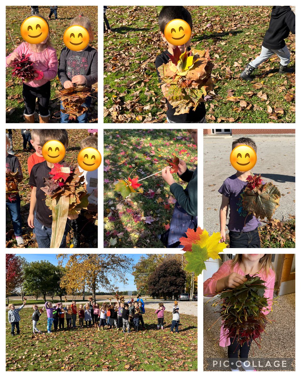 Take a look at our beautiful leaf bouquets!  The students were so creative while designing their individual leaf creations! ☀️🍂🍃🍁 <a href="/TVDSBKinder/">TVDSBKindergarten</a> #outdooreducation