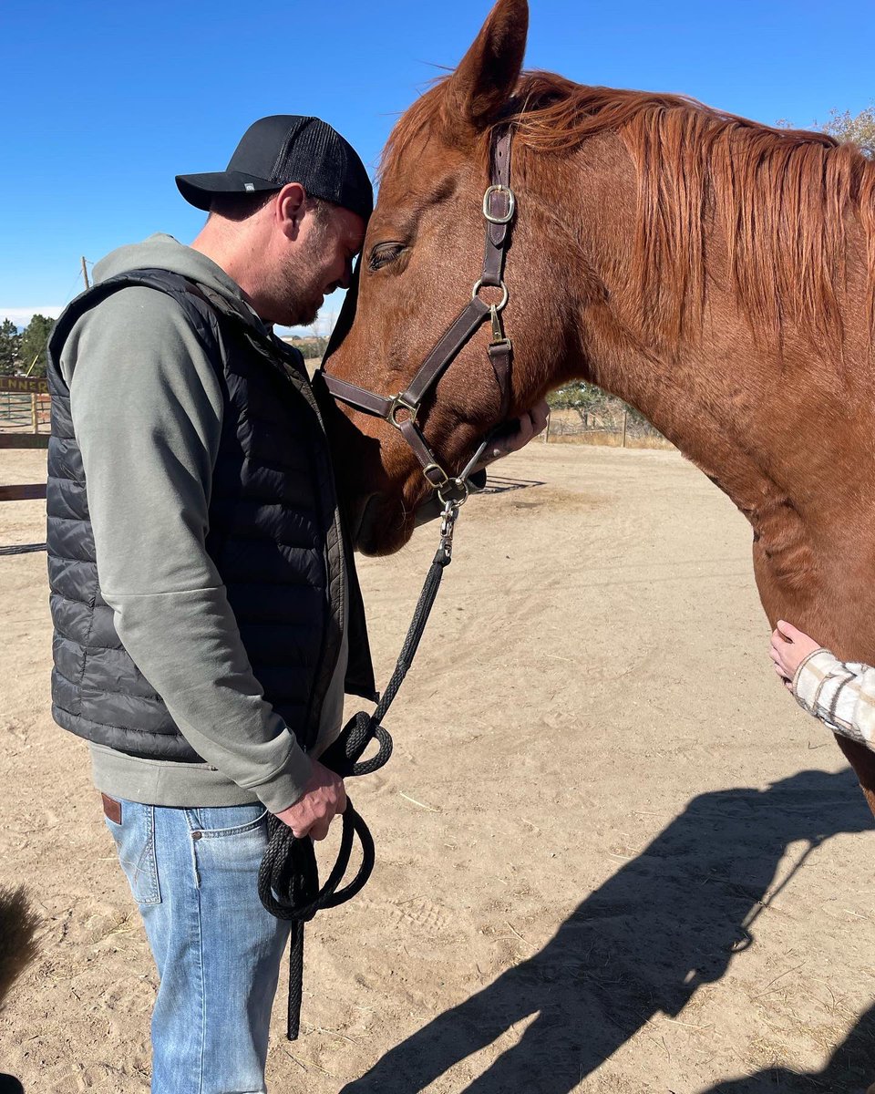 PAWsitiveRecov1's tweet photo. Pawsitive Recovery had an incredible day at Serenity Stables, a facility that focuses on recovery with horses!! Pawsitive Recovery and Serenity Stables will hopefully be starting a partnership soon that will allow us to offer equine therapy classes! https://t.co/8zSZCDSwmW
