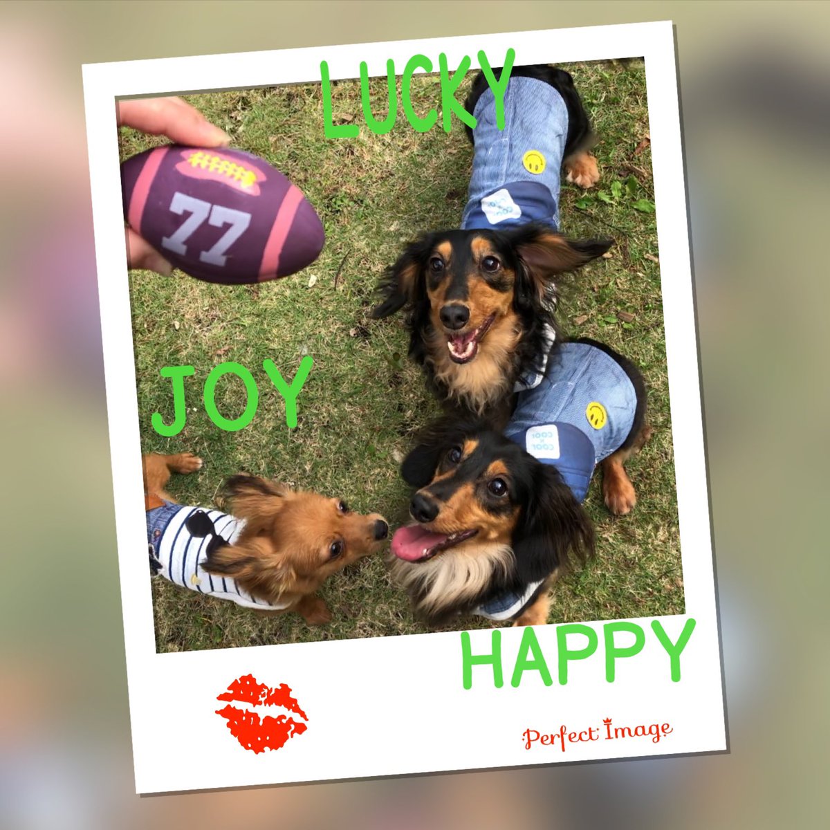 Yu♡ママみん→ tweet media