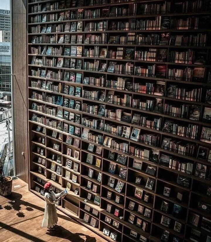 amorenloslibros's tweet photo. 📚 “Tal vez el Cielo sea una biblioteca. Entonces podré terminar mi lista de lecturas pendientes”.

🖋 Kellie Elmore https://t.co/hIernnYRCN