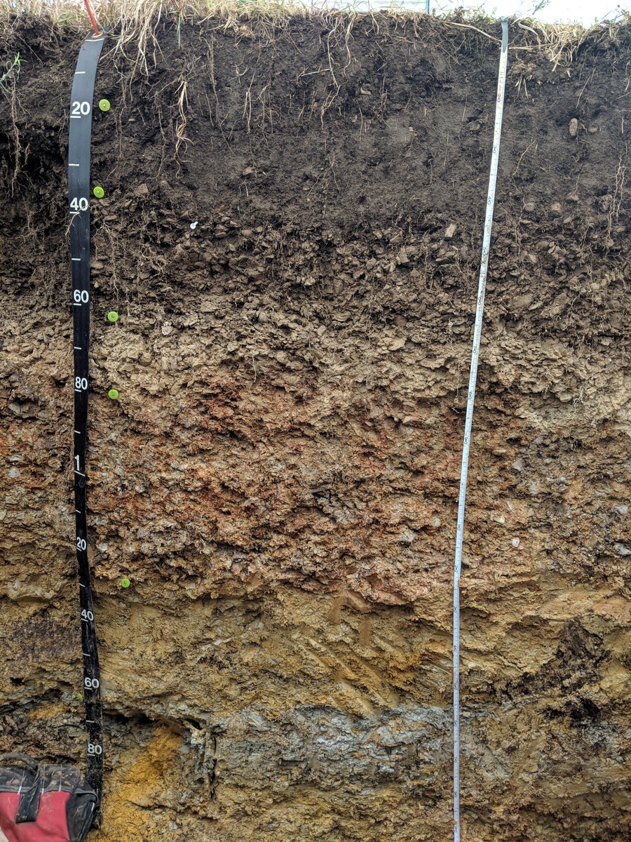 Matt Drew (@cryodrew) on Twitter photo MESOS Wed at 12: @ligiaftsouza will show us how biota and soil structure affects soil organic carbon at depth in the Anthropocene. So relevant to us here in Canada: soil dictates how much CO2 boreal forests + tundra can sequester <a href="/MemorialUSci/">Faculty of Science, Memorial University</a> <a href="/MUN_EarthSci/">MUN Earth Sciences</a> <a href="/tillhole/">@TillHole</a> MESOS Wed at 12: @ligiaftsouza will show us how biota and soil structure affects soil organic carbon at depth in the Anthropocene. So relevant to us here in Canada: soil dictates how much CO2 boreal forests + tundra can sequester <a href="/MemorialUSci/">Faculty of Science, Memorial University</a> <a href="/MUN_EarthSci/">MUN Earth Sciences</a> <a href="/tillhole/">@TillHole</a>