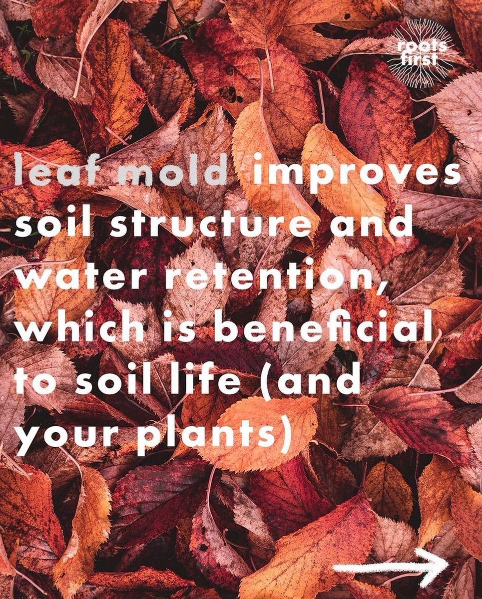 Roots First Regenerative Design (@RootsFirst) / Posts / X