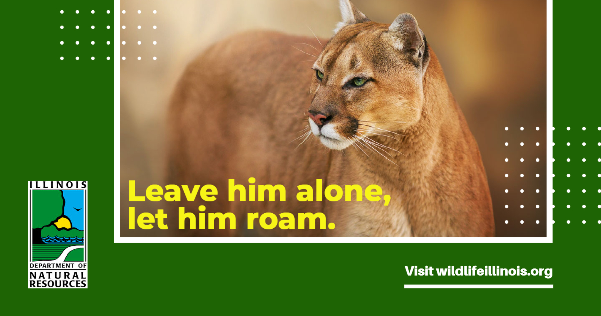 Illinois DNR tweet media