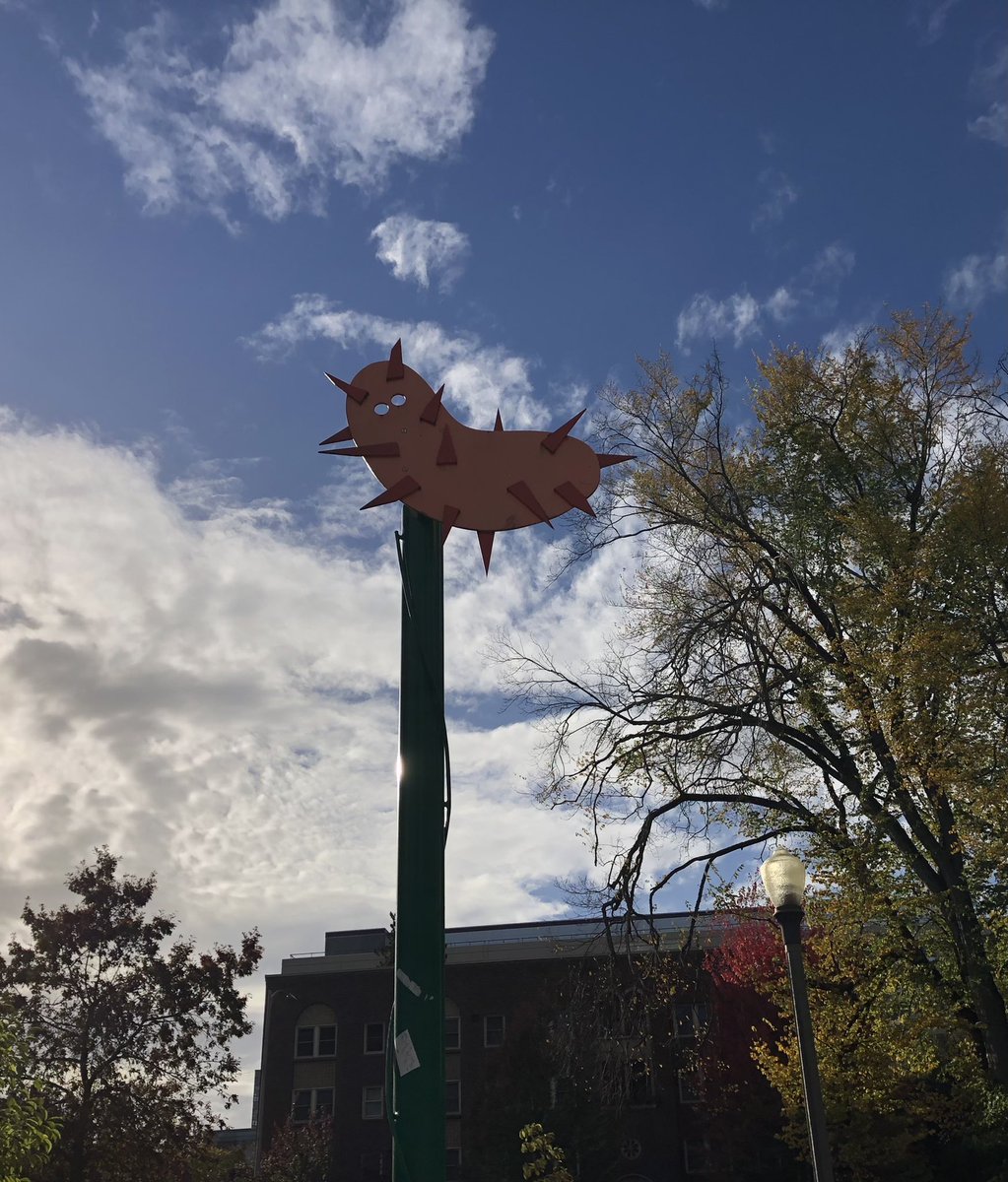 Jacob A Tennessen tweet media