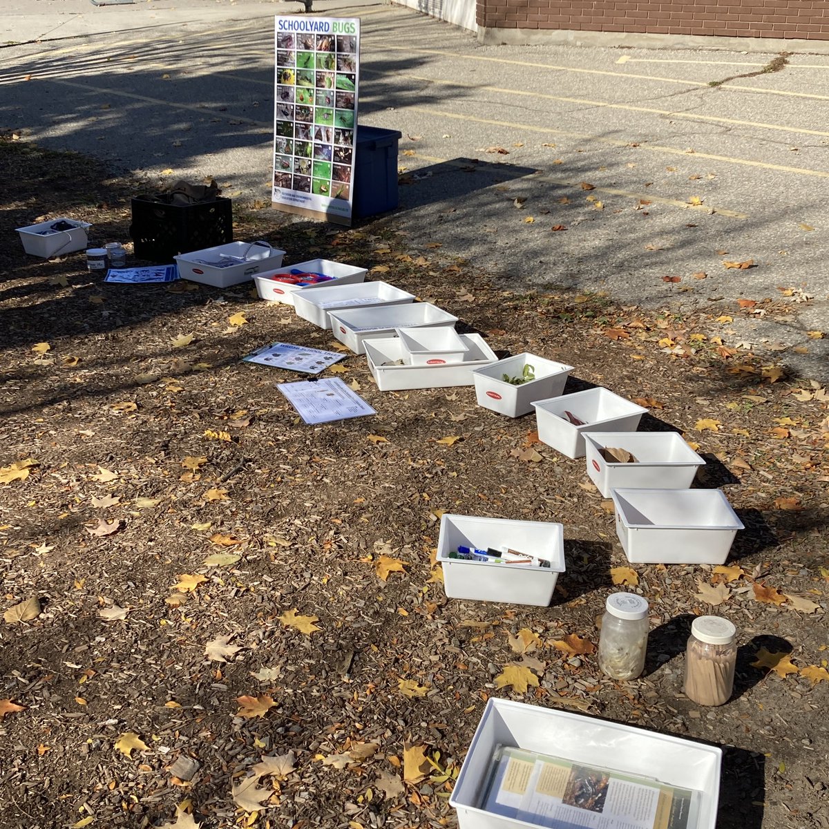 Was thrilled to offer some outdoor learning PD today at <a href="/frawrdsb/">Franklin Public School</a> along with <a href="/WrigleyCorners/">LevitheNatureGuy</a>.  Thanks for the invite <a href="/cotnam_linda/">Linda B. Cotnam</a>! Looking for downloadable ID guides for 🍂🍁🌳🌲🪲🐜🕷🐦🐤🦆🐾? Here is the link: schools.wrdsb.ca/environmental-… ⬅️💚