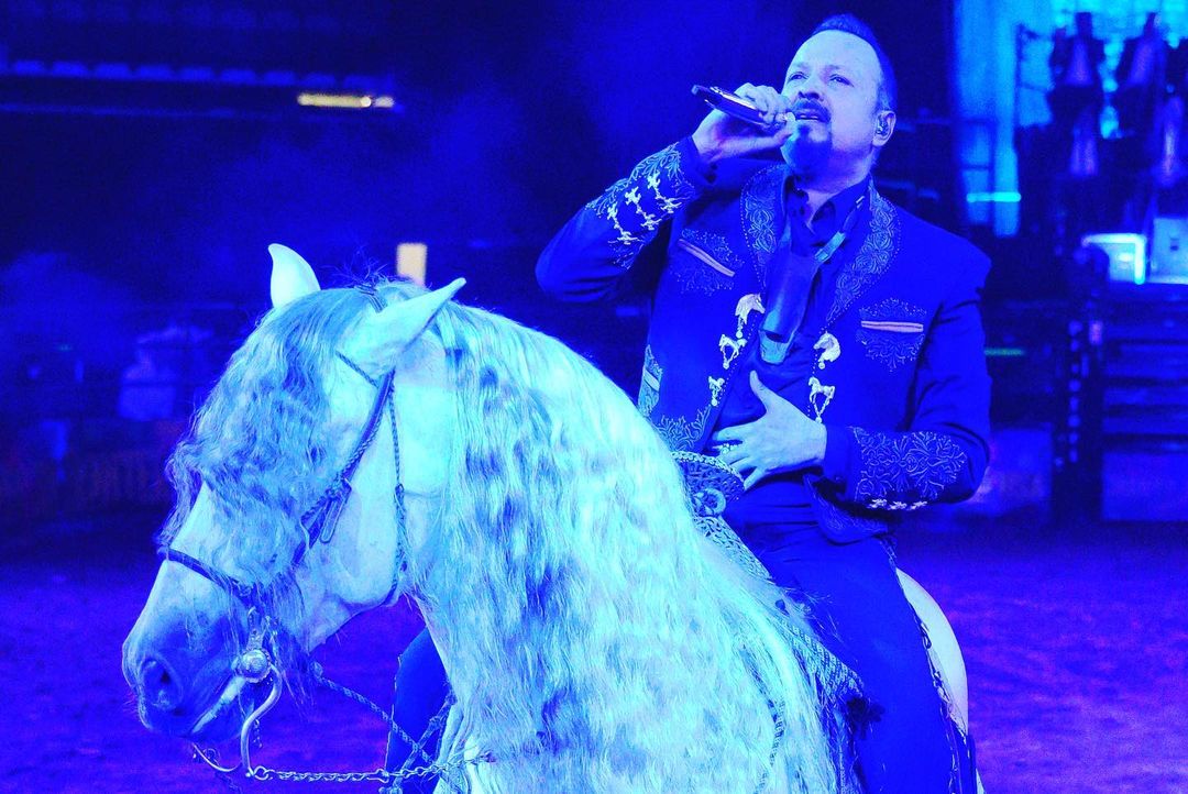 PepeAguilar's tweet photo. 1,000,000 de #GRACIAS #DALLAS !!!
QUE NOCHE LA DE ANOCHE !!!
Y el año se acaba y los aguilar siguen de gira !😮🤣
Pero ya solo quedan 2 #JSFUSA más y se acabó la gira! ¿Qué, qué?
Pero seguimos con #JSFMX y varios shows más en solitario.
#AguilarTours #JSF2022USA #PuroMéxico https://t.co/wQLOr1ZRHF