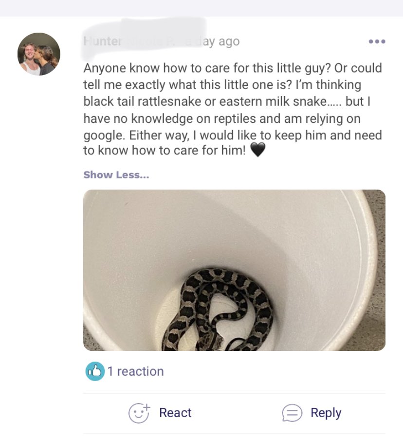Maggie Larson tweet media