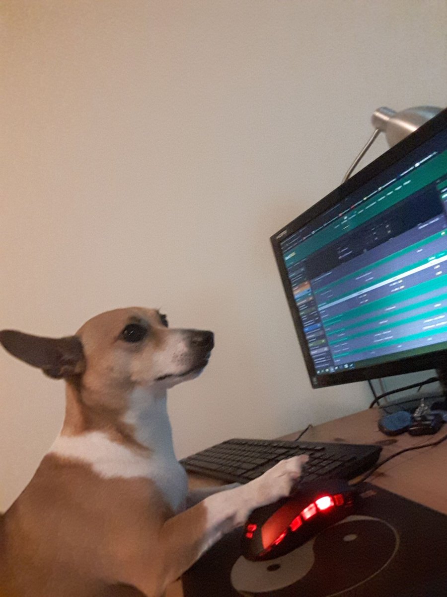 Maxxx39877087's tweet photo. CEO of Max Game Studio hard at work!
#gameDev #MaxGameStudio #MGS https://t.co/shOaAwcWo4