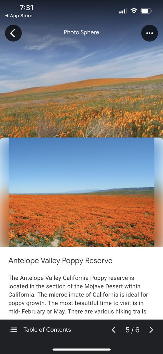 DelaneyArmstr10's tweet photo. I never imagined there would be such beautiful flowers in any desert.. let alone the Mojave Desert! Thankful for Virtual Field trips to teach me. #EDUC387713 #MojaveDesert #Virtualfieldtrip https://t.co/cfNylqJcSB