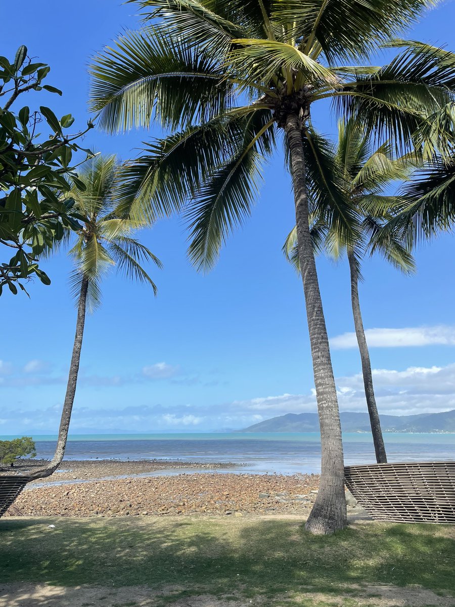 jodoc71's tweet photo. My tropical paradise today #nofilter #airliebeach https://t.co/OYa2fWRwGV