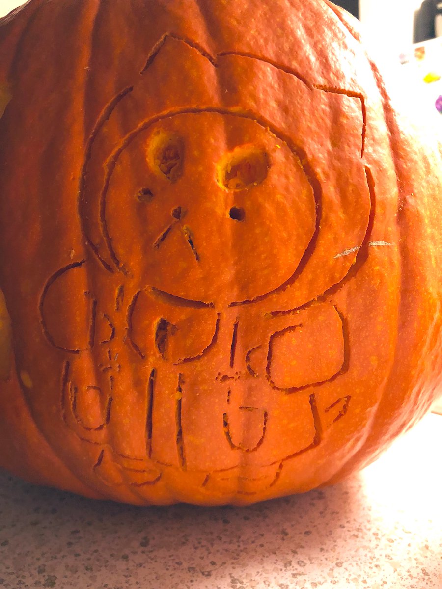 GreyXGopher tweet picture